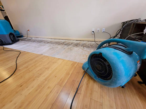 Professional Water Removal technician working in Wolfeboro, NH
